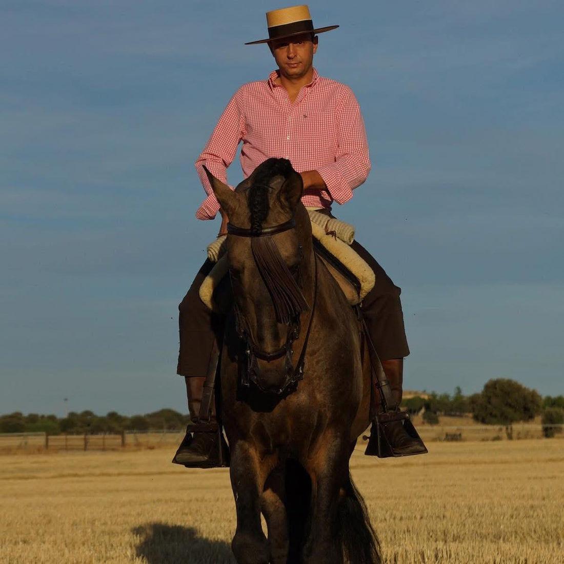 Opportunity to train with International WAWE judge José Benito