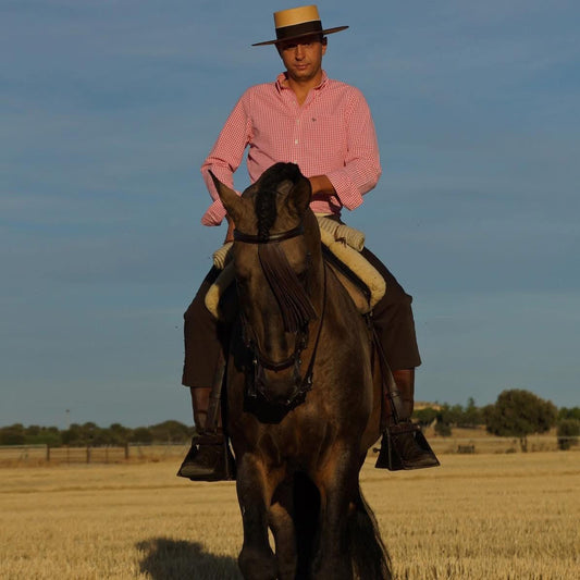 Opportunity to train with International WAWE judge José Benito