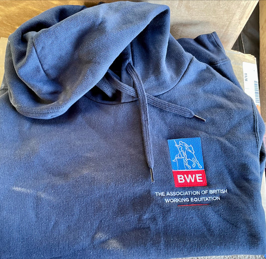 Men's Hoodie