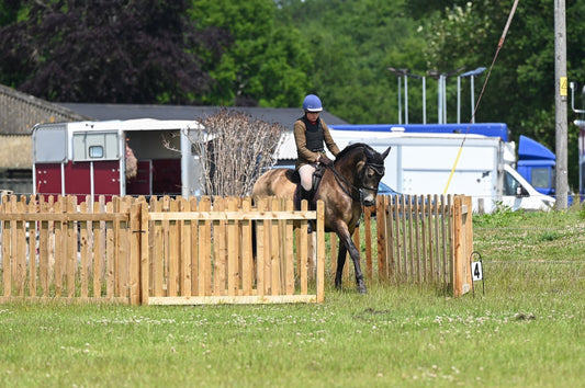 𝗡𝗘𝗪 𝗳𝗼𝗿 𝟮𝟬𝟮𝟲 - 𝗘𝗻𝘁𝗿𝗶𝗲𝘀 𝗮𝗻𝗱 𝗗𝗮𝘆 𝗧𝗶𝗰𝗸𝗲𝘁𝘀