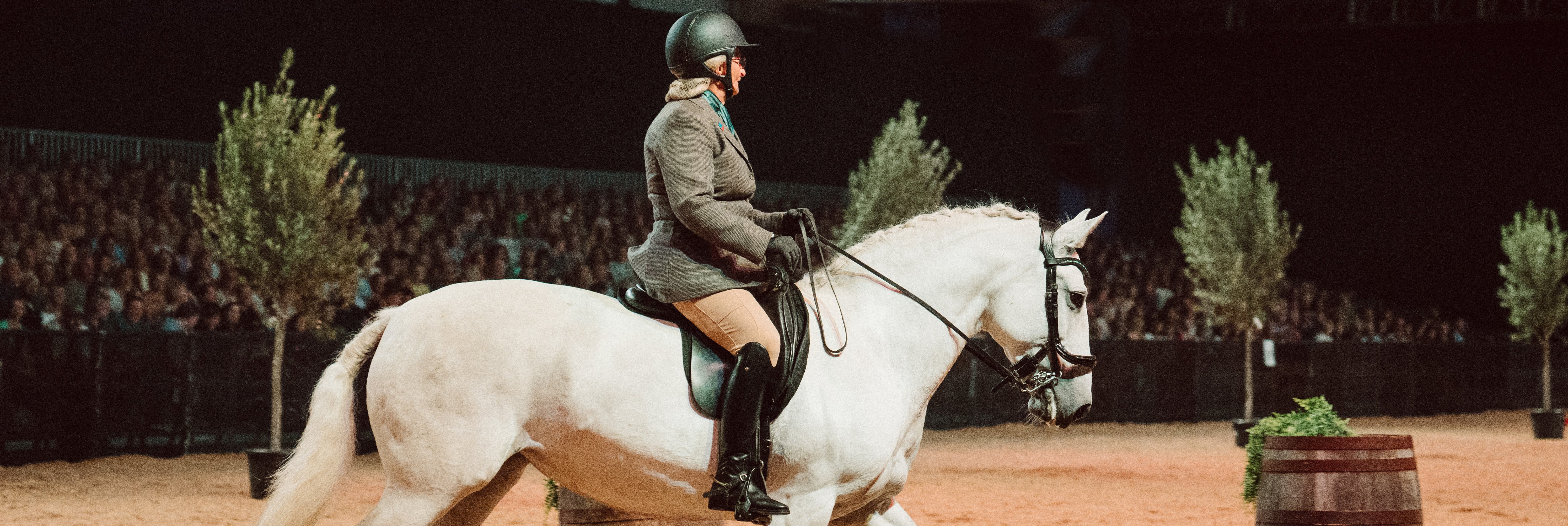 2024 Event Diary Announced The Association For British Working Equitation   Working Equitation Jo Green 